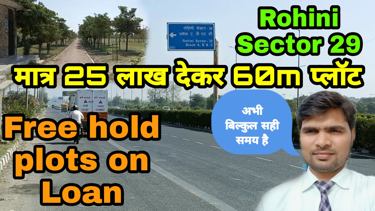 Plots on loan in Rohini Sector 29